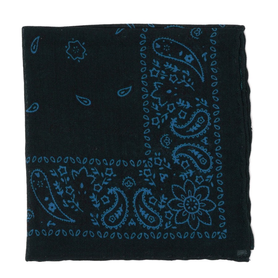 Handkerchiefs | Cesare Attolini Pure Wool Pocket Square "Reni E Paisley